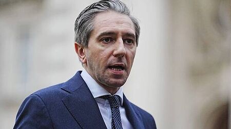 Tánaiste committed to increasing rental properties ahead of Dáil debate on rental reforms