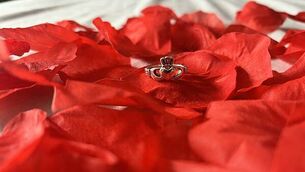 Mother of Harvey Morrison is possible candidate for Dublin by-election, McDonald says Mother of Harvey Morrison is possible candidate for Dublin by-election, McDonald says