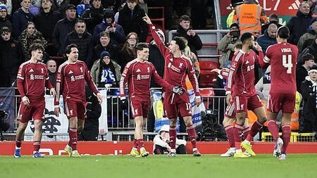 Liverpool cruise into FA Cup fifth round after easing past Brighton at Anfield
