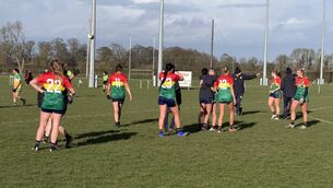 <p>Carlow players celebrate after a job well done against Offaly</p>
