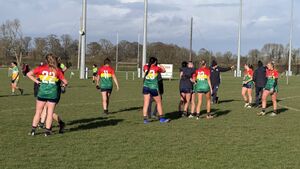Faithful fall to clinical Carlow