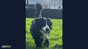 'Very strong reason' needed for Rotunda to move from current site, says Minister 'Very strong reason' needed for Rotunda to move from current site, says Minister