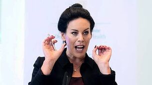 Manhunt underway after suspected petrol bomb thrown at Cork home Manhunt underway after suspected petrol bomb thrown at Cork home