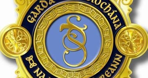 Two arrested in Myshall after overnight spate of burglaries 