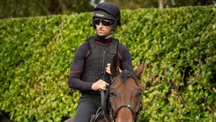 <p>Patrick Mullins on the horse that he would like to ride in the Cheltenham Gold Cup, Gaelic Warrior Photo: ©INPHO/Morgan Treacy</p>