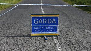 Man (60s) dies after being hit by truck in Tipperary