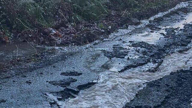 <p>A road at Ballinrush Hill in Myshall that was badly damaged by the recent rain and flooding</p>
