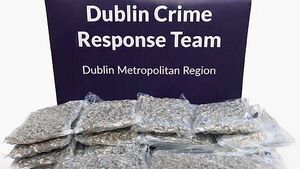 Man (20s) arrested after €500k of cannabis seized in Co Dublin