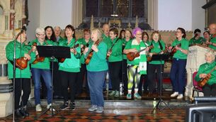 <p>Carlow Ukelele Players brewing up a storm at a fundraising concert in St Mary's Church for Carlow National School Photo: Paul Curran </p>