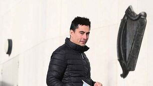 Twin brothers plead guilty to manslaughter of Romanian man in south Dublin Twin brothers plead guilty to manslaughter of Romanian man in south Dublin