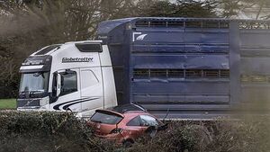 Two teenagers die following collision between lorry and car in Donegal