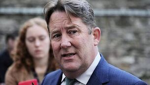 No international defence arrangements in place ahead of EU presidency - McEntee