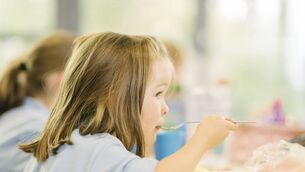 <p>The free school meals programme has been available to all primary schools since September 2024</p> <p>The free school meals programme has been available to all primary schools since September 2024</p>