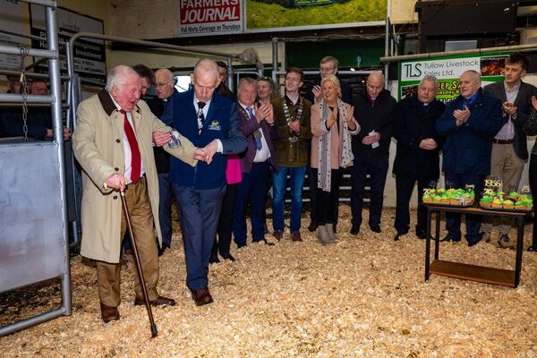 Former manager of the Tullow Mart John Murphy helps Kyran O’Byrne (son of one of the first directors) enter the ring for the Tullow Mart 70 year celebrations Photo: Michael O'Rourke Photography 2026 Former manager of the Tullow Mart John Murphy helps Kyran O’Byrne (son of one of the first directors) enter the ring for the Tullow Mart 70 year celebrations Photo: Michael O'Rourke Photography 2026