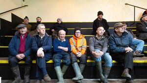 Tullow Livestock Sales celebrates 70th anniversary