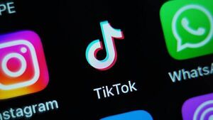 TikTok challenge to DPC privacy breach finding opens before High Court