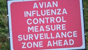 Man (20s) arrested after gardaí seize drugs worth €415,000