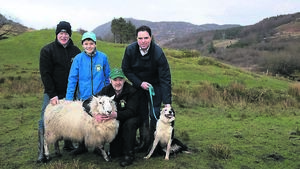 Bigger fines for failureto keep dogs on leads?