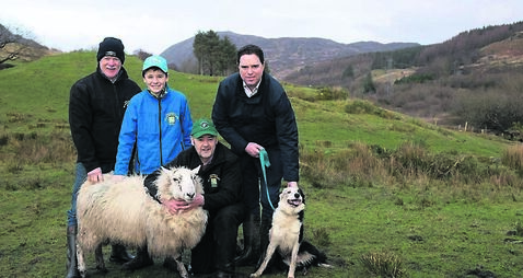 Bigger fines for failureto keep dogs on leads?