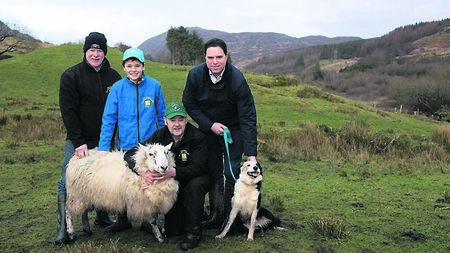 Bigger fines for failureto keep dogs on leads?