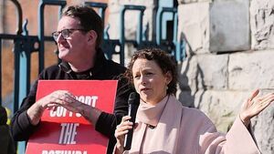 Maternity facilities must be on political radar amid Rotunda debacle, says TD