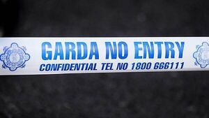 Woman (20s) dies after road collision in Tipperary