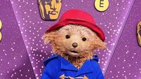 Paddington The Musical triumphs at WhatsOnStage awards with nine wins