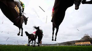 When is the Cheltenham Festival, where can you watch it and who will win it?