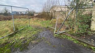 <p>A broken fence leads to the vacant plot of land adjacent to The Friary estate in Castledermot and is now attracting anti-social behaviour</p>