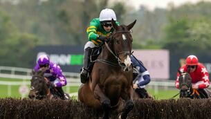 <p>Majborough is the favourite for the Chmapion Chase at Cheltenham today Photo: ©INPHO/Morgan Treacy</p>