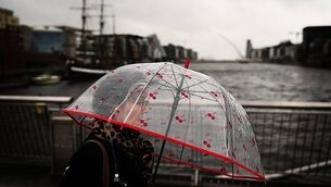 High Court temporarily halts HSE's investigation into allegations against surgeon