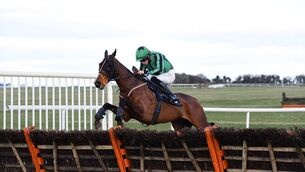 <p>Paddy Hanlon is set to ride Hewick in the Stayers' Hurdle at the Cheltenham Festival Photo: Pat Healy/Healy Racing</p>