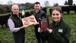 Donegal man jailed for 11 years for sexual abuse of two teenage girls