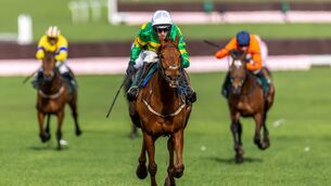 <p>Mark Walsh on Dinoblue coming home to win the Mrs Paddy Power Mares' Chase at Cheltenham. Phone: INPHO/Morgan Treacy</p>