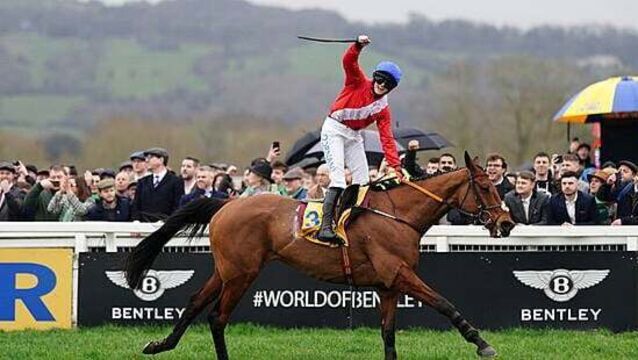 ‘Incredible’ Envoi Allen dies after collapsing following Cheltenham Gold Cup