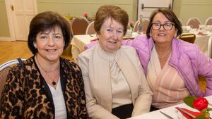 Kiltegan Senior Citizens party 