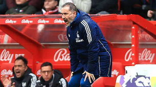 Ireland to face New Zealand at Soldier Field in Chicago on November 1st Ireland to face New Zealand at Soldier Field in Chicago on November 1st