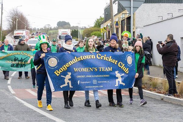 Bagenalstown cricket club 