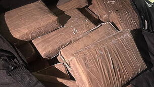 Gun murder was planned assassination reminiscent of terrorist ambush, court told