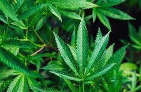 Drug convictions at Carlow district court fall to six-year low