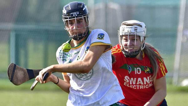 Carlow's return to form comes too late to avoid relegation