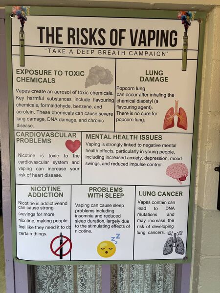 Poster showing the harmful effects of vaping at the campaign launch.