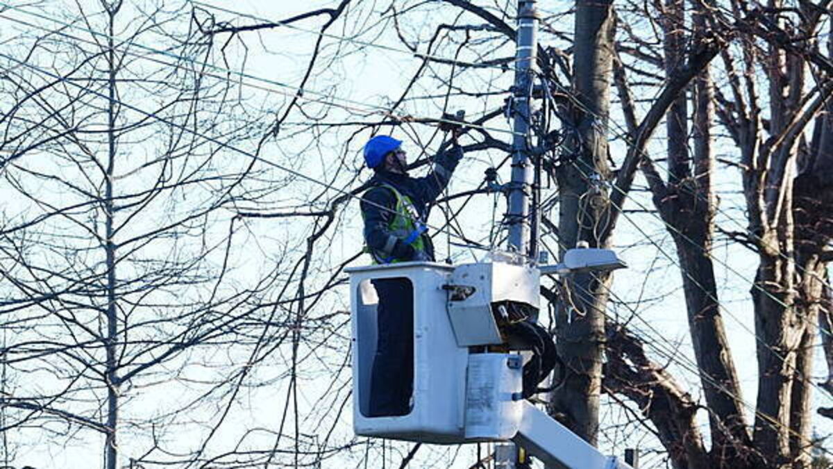ESB profits down by 10% due to impact of Storm Éowyn
