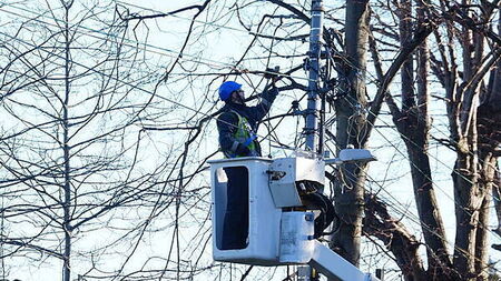 ESB profits down by 10% due to impact of Storm Éowyn