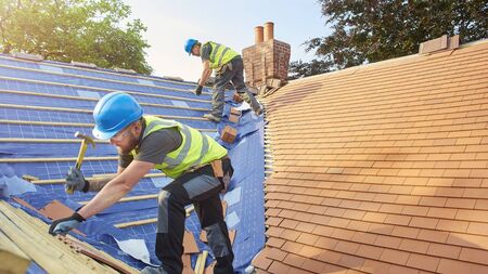 Councillors in Co Carlow have their say on relaxing rules for one-off homes