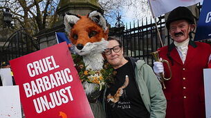 MEP Maria Walsh to vote against EU ‘return hubs’ over fears of 'outsourcing migration' MEP Maria Walsh to vote against EU ‘return hubs’ over fears of 'outsourcing migration'