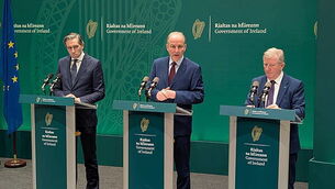 Harris criticises ‘toxic public discourse’ at Billy Fox portrait event Harris criticises ‘toxic public discourse’ at Billy Fox portrait event