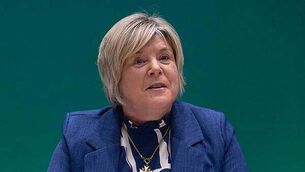 Three people arrested over Drimnagh shooting released without charge