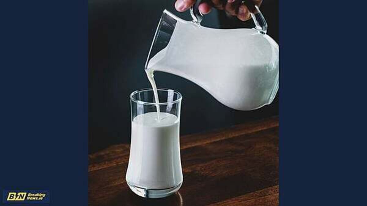 Lidl and Tesco to cut milk and butter prices