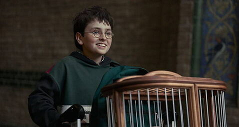 Seven questions the new Harry Potter trailer leaves unanswered